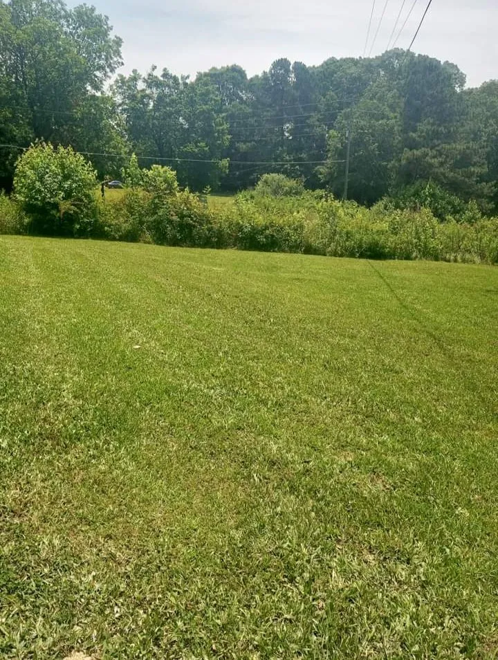 Affordable yard cleanup service for beautiful yards across Villa Rica, GA - JT's Lawn & Maintenance