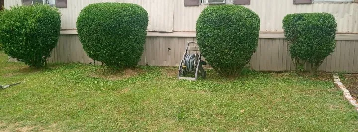 Custom landscape design in Villa Rica, GA - JT's Lawn & Maintenance