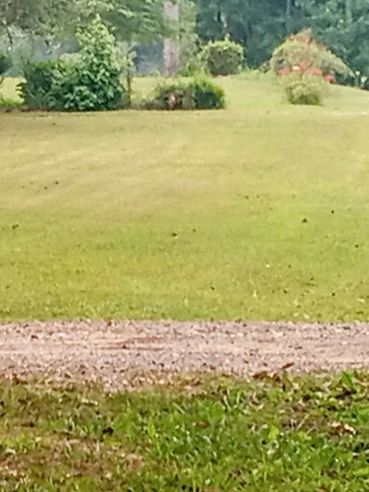 Expert residential landscaping experts serving Villa Rica, GA - JT's Lawn & Maintenance