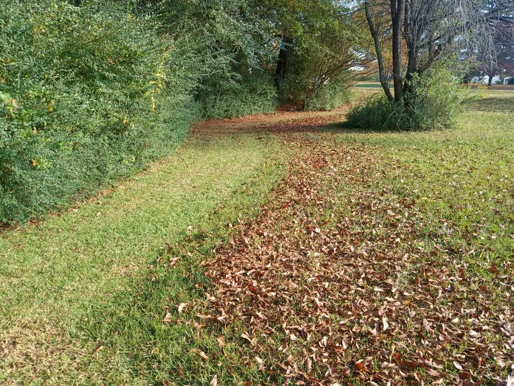 Professional residential landscaping experts serving Villa Rica, GA - JT's Lawn & Maintenance