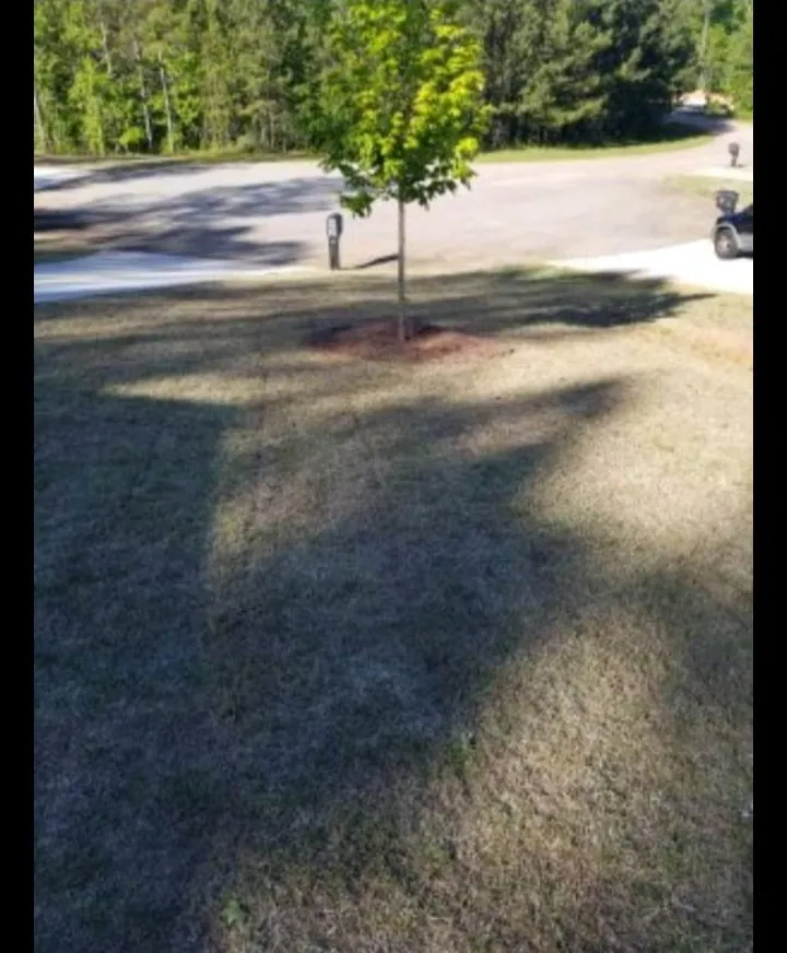 Expert yard maintenance in Villa Rica, GA - JT's Lawn & Maintenance