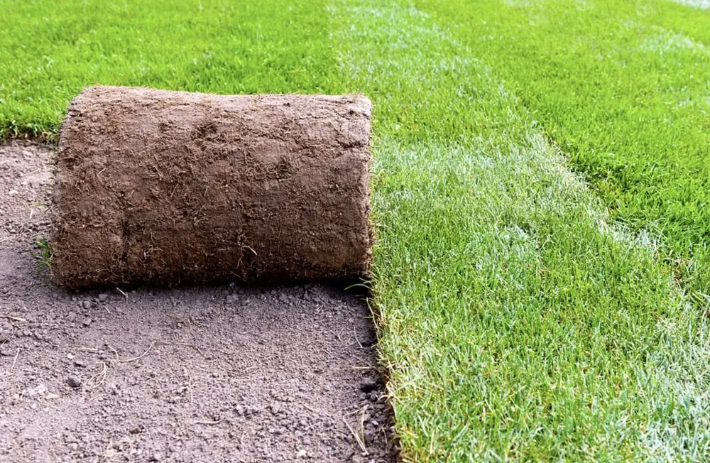 Trusted yard cleanup service near you in Le Roy, IL by JT's Lawn Care & Landscaping