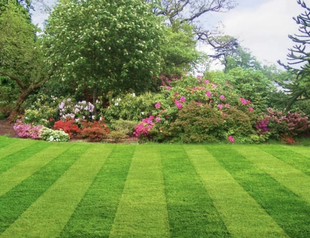 Custom landscape installation in Le Roy, IL by JT's Lawn Care & Landscaping