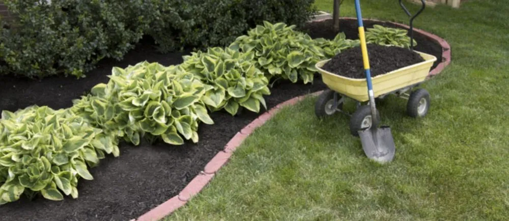 Reliable residential landscaping experts serving Le Roy, IL - JT's Lawn Care & Landscaping