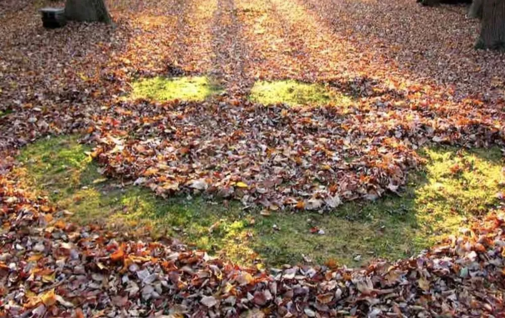 Professional landscaping services experts serving Le Roy, IL - JT's Lawn Care & Landscaping