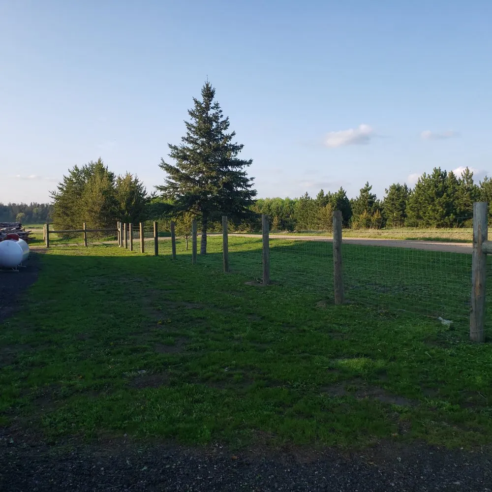 Affordable yard maintenance experts serving Browerville, MN - JT's Lawn Care