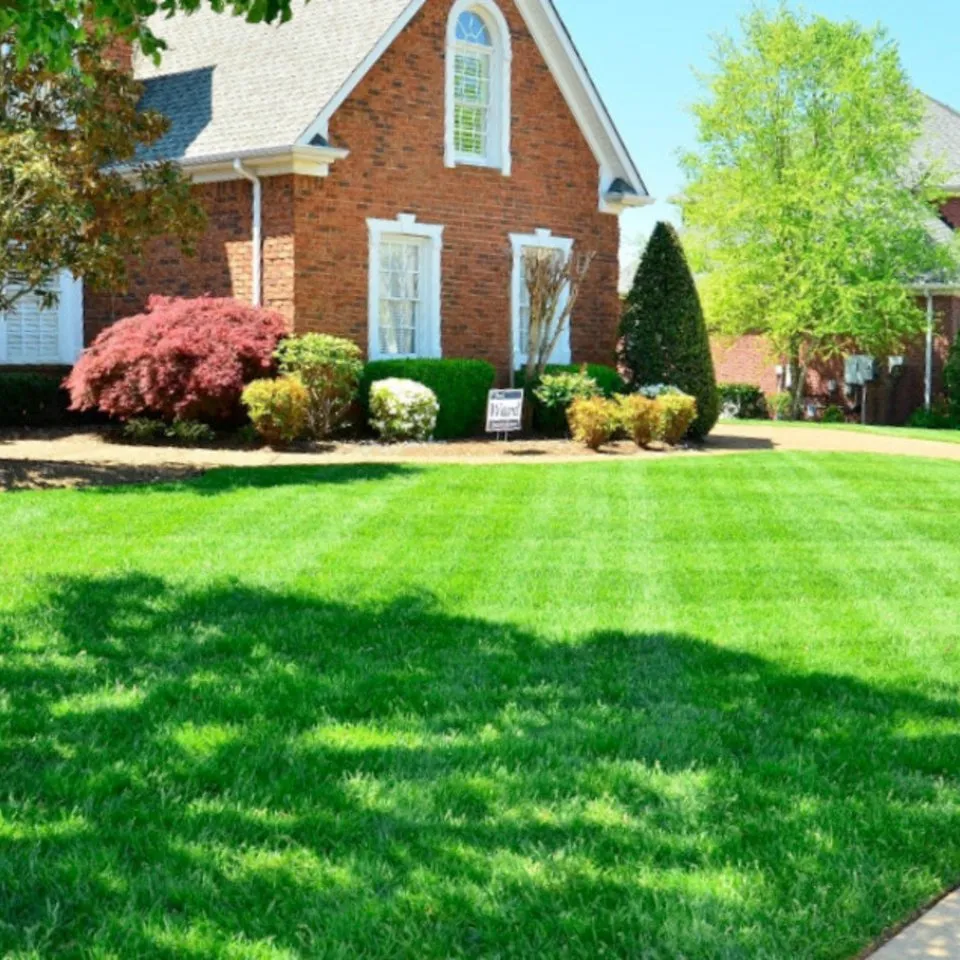 Affordable landscape design for homes across Houston, TX - Jt’s Lawn Care