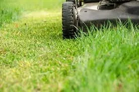 Custom lawn care service in Marshall, MO by JT's Lawn Care