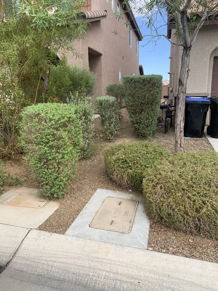 Top-rated yard maintenance in Las Vegas, NV - JTS Lawn Care Services