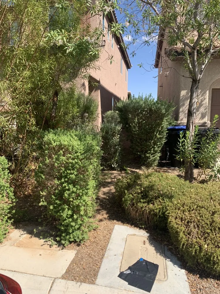 Top-rated lawn care service in Las Vegas, NV by JTS Lawn Care Services