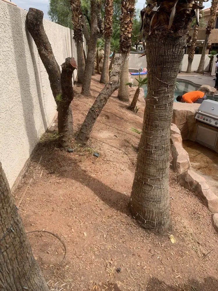 Top-rated outdoor landscaping in Las Vegas, NV by JTS Lawn Care Services