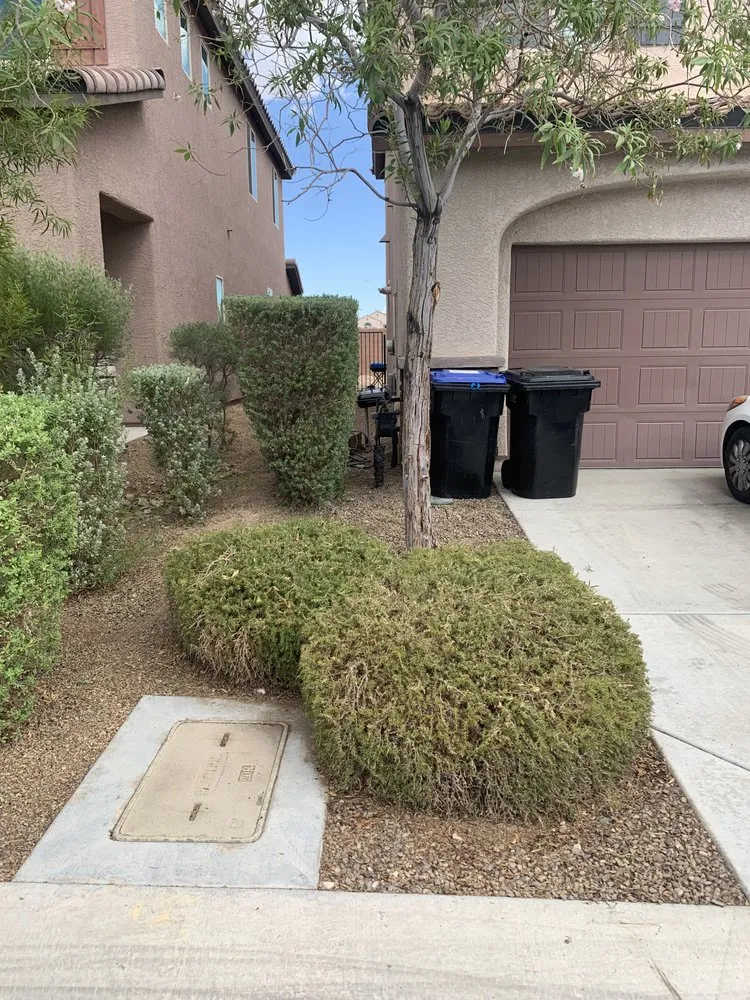 Professional residential landscaping in Las Vegas, NV - JTS Lawn Care Services