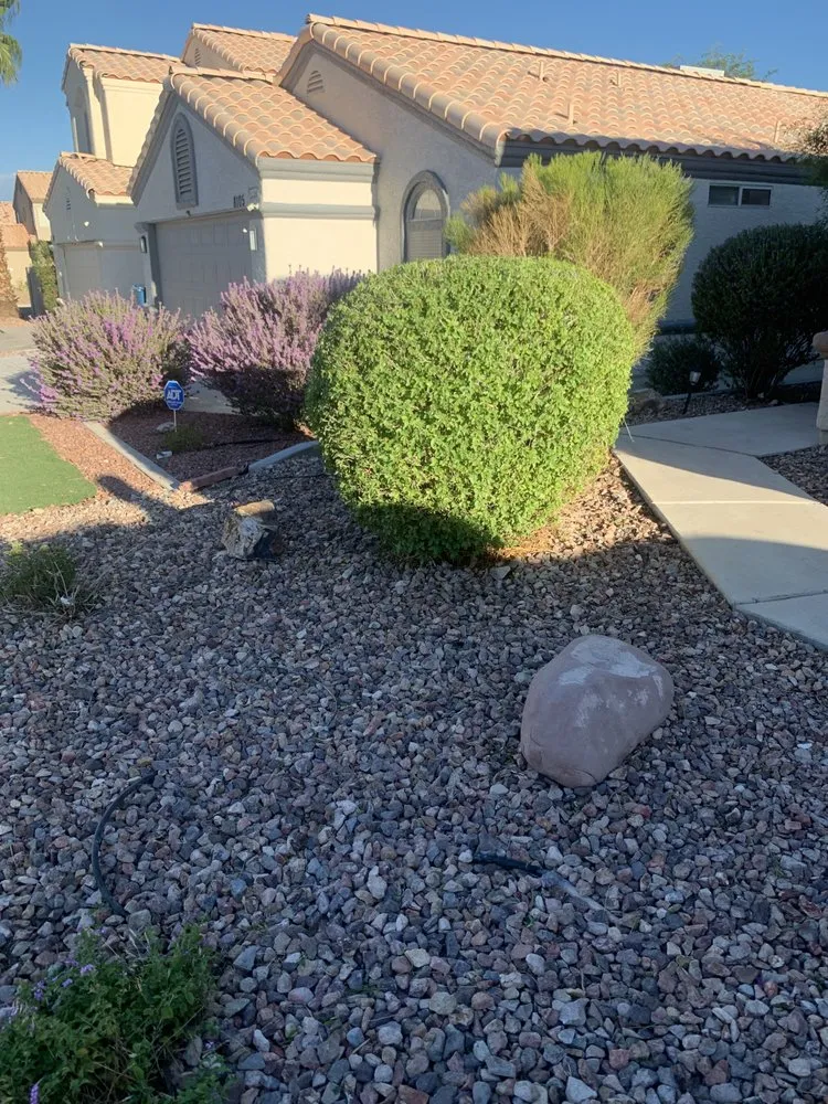 Expert landscaping services in Las Vegas, NV - JTS Lawn Care Services