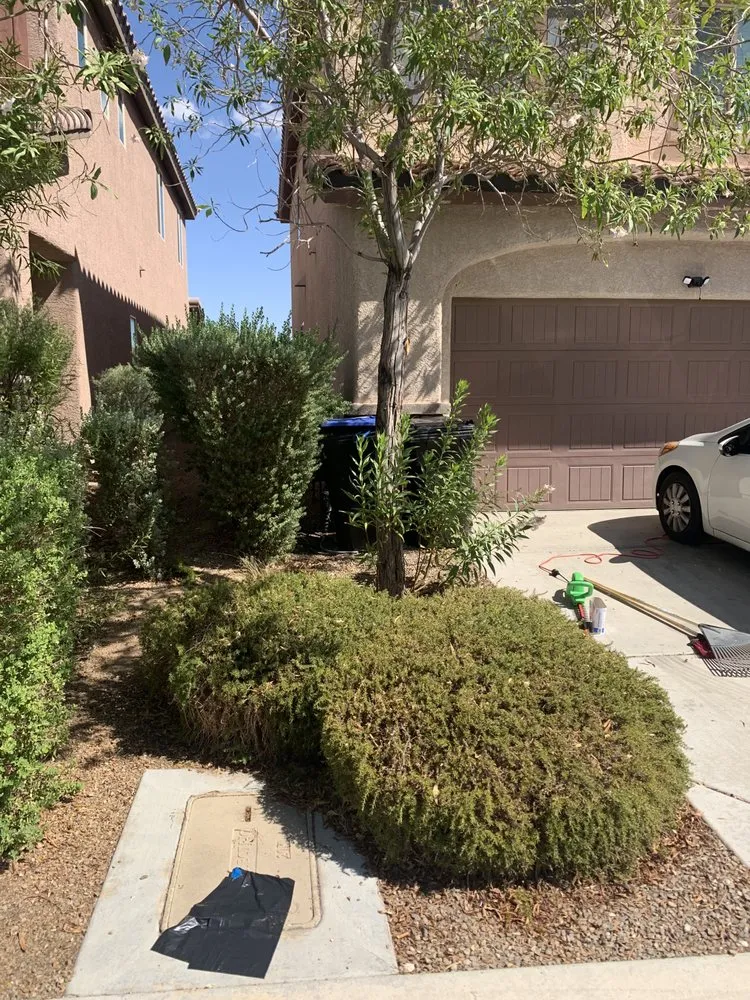Reliable residential landscaping experts serving Las Vegas, NV - JTS Lawn Care Services
