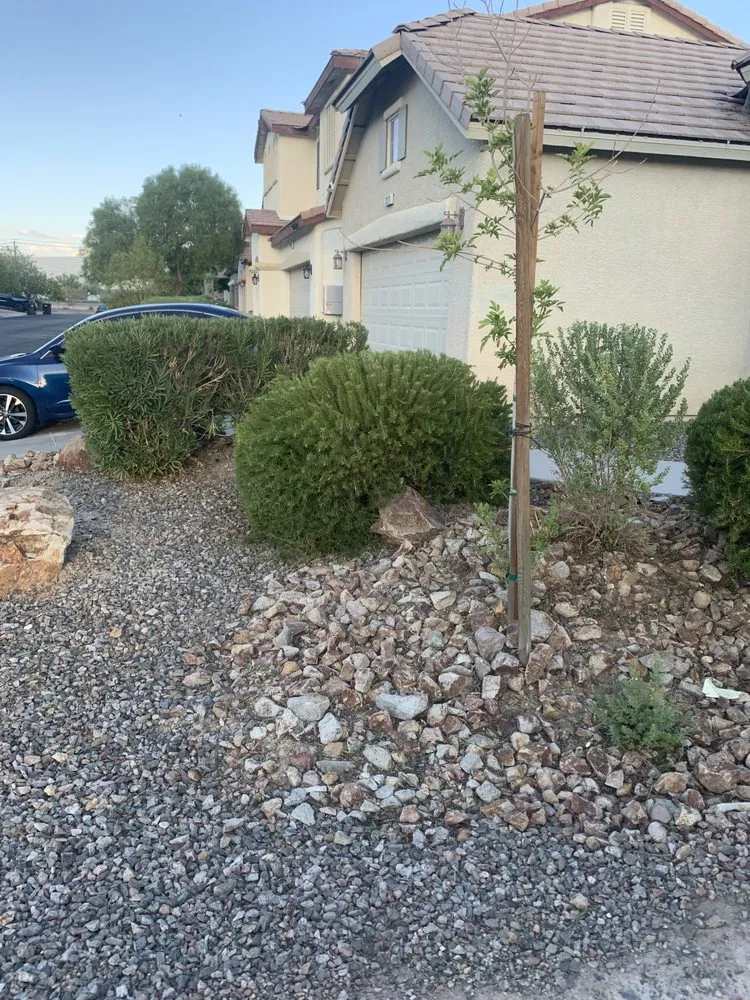 Local landscape installation in Las Vegas, NV by JTS Lawn Care Services