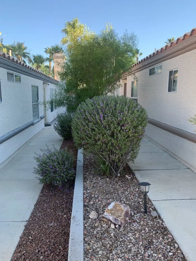Reliable landscape installation in Las Vegas, NV by JTS Lawn Care Services
