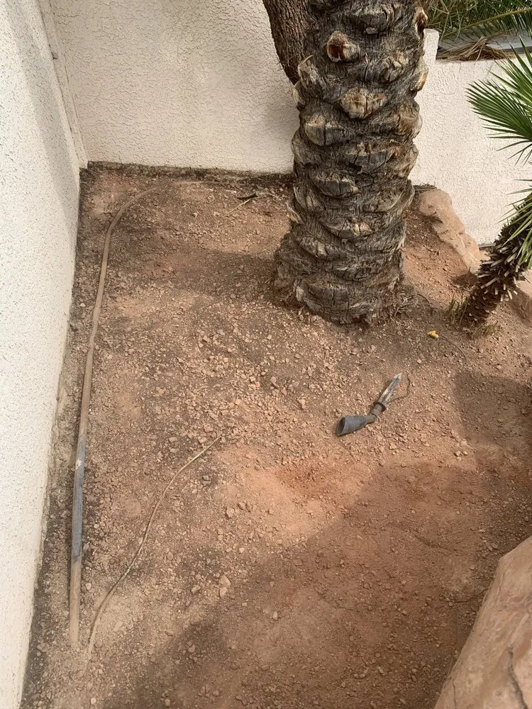 Local lawn care service in Las Vegas, NV by JTS Lawn Care Services