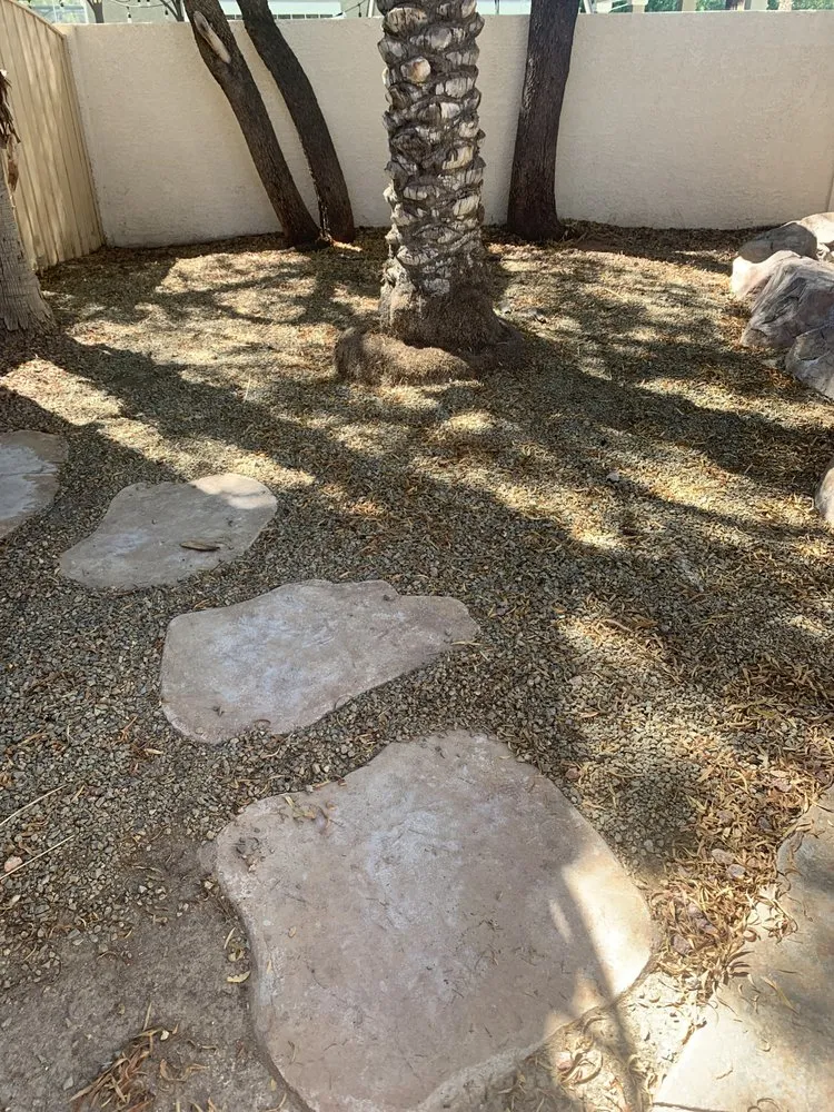 Local yard cleanup service in Las Vegas, NV by JTS Lawn Care Services