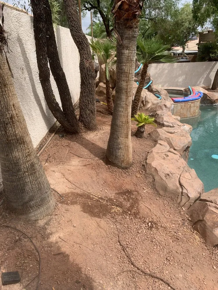 Custom garden landscaping in Las Vegas, NV by JTS Lawn Care Services