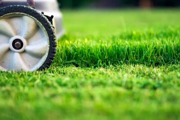 Reliable outdoor landscaping in Winchester, VA by JT's Lawn Care