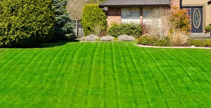 Local yard maintenance for year-round maintenance across Winchester, VA - JT's Lawn Care