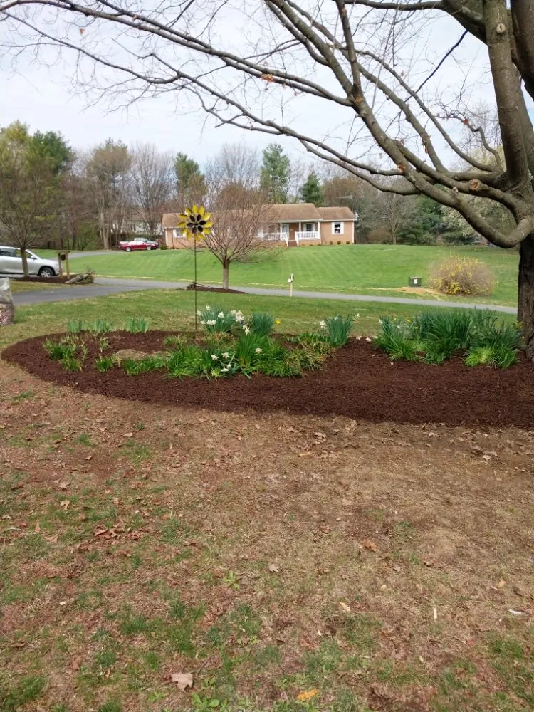 Top-rated yard cleanup service for beautiful yards in Winchester, VA by JT's Lawn Care