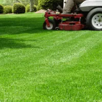Top-rated lawn mowing service in Winchester, VA - JT's Lawn Care