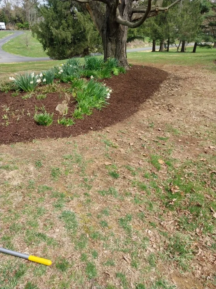 Reliable yard cleanup service experts serving Winchester, VA - JT's Lawn Care