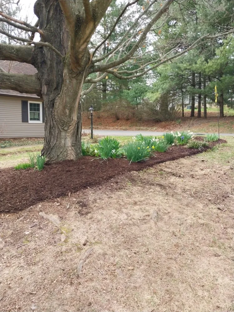 Local landscaping services near you across Winchester, VA - JT's Lawn Care