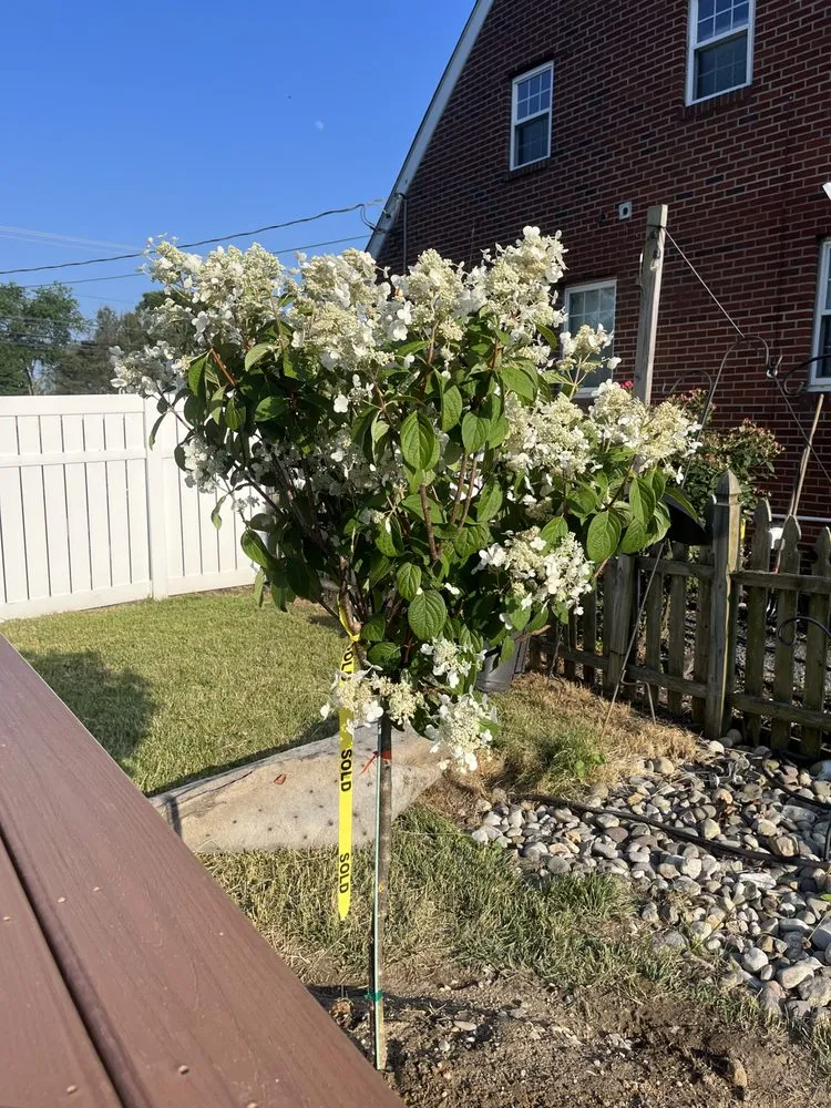 Expert landscape installation with custom design across Green Brook, NJ - JT's Lawn Guys