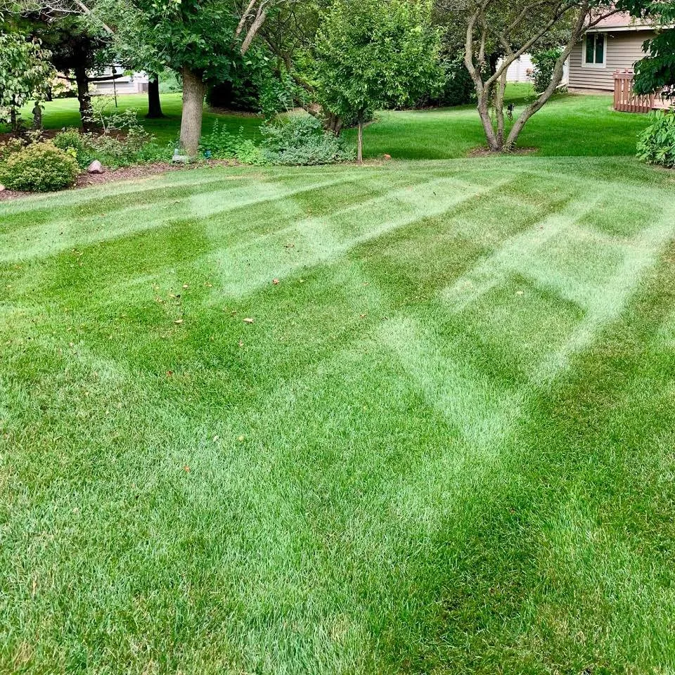 Top-rated yard cleanup service experts serving Menomonee Falls, WI - JTS Lawn Maintenance