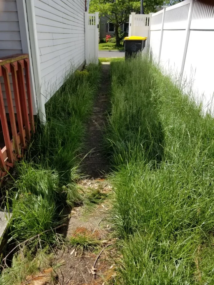 Professional lawn mowing service for outdoor upgrades across Matawan, NJ - J&T's Lawn Service