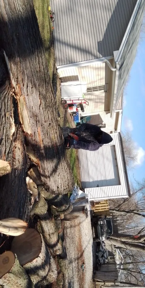 Top-rated lawn mowing service with custom design in Ingleside, IL by JT's Mosquito Care