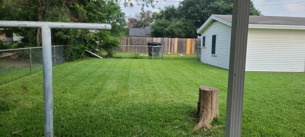 Reliable landscaping services for beautiful yards in Temple, TX by JTs Power Pros LP