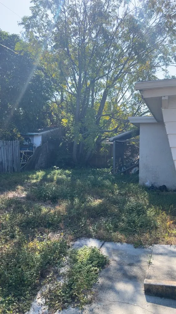 Top-rated garden landscaping for outdoor upgrades across Holiday, FL - JT’s Prestige Landscaping & Junk Removal