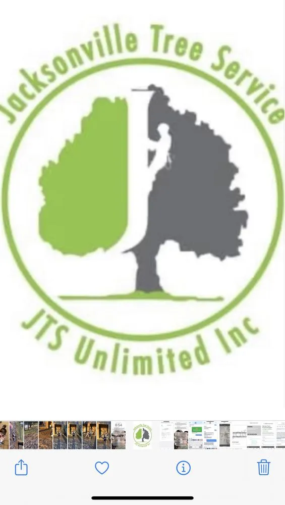 Reliable garden landscaping in Jacksonville, FL by JTS unlimited