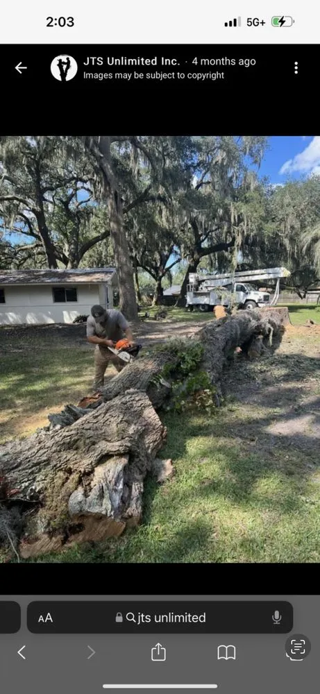 Affordable landscaping services for outdoor upgrades across Jacksonville, FL - JTS unlimited