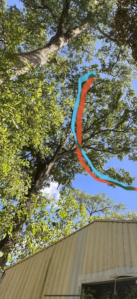 Trusted landscape design in Jacksonville, FL - JTS unlimited