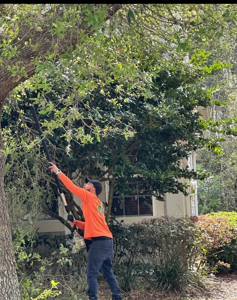 Trusted landscape installation in Jacksonville, FL - JTS unlimited