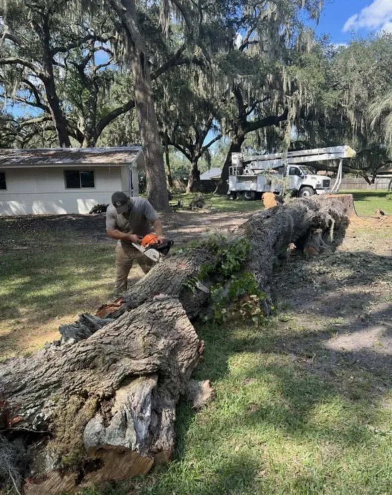 Reliable lawn care service near you in Jacksonville, FL by JTS unlimited