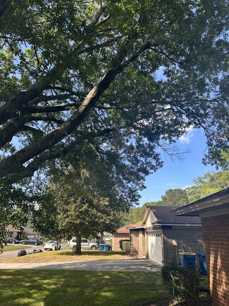 Custom outdoor landscaping in Jacksonville, FL by JTS unlimited