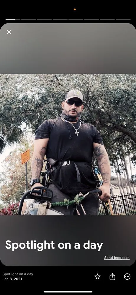 Custom landscaping services experts serving Jacksonville, FL - JTS unlimited