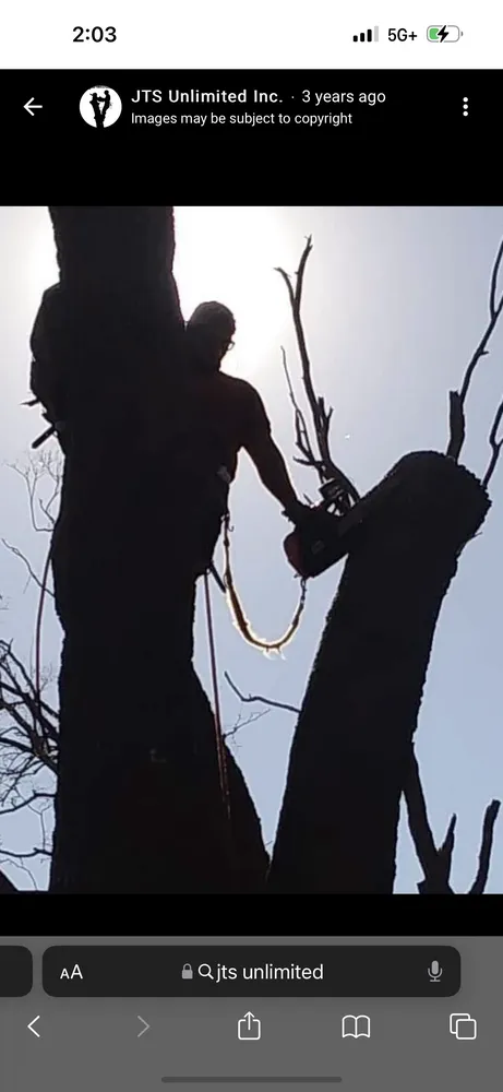 Trusted yard maintenance near you in Jacksonville, FL by JTS unlimited