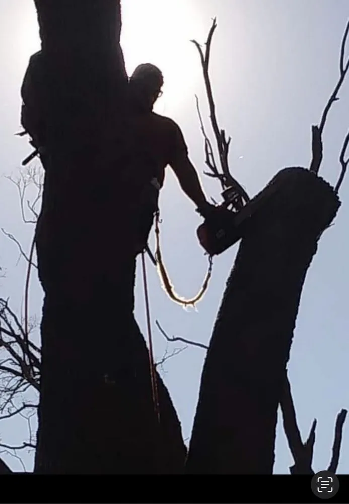 Professional landscaping services near you across Jacksonville, FL - JTS unlimited