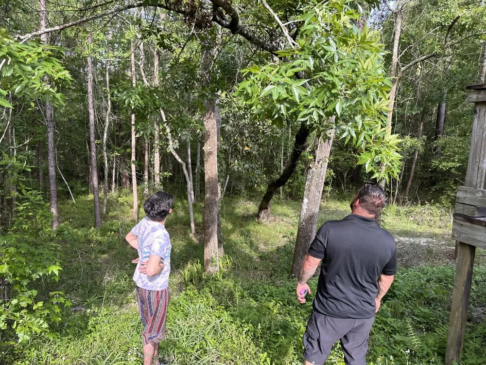 Trusted lawn care service in Jacksonville, FL - JTS unlimited