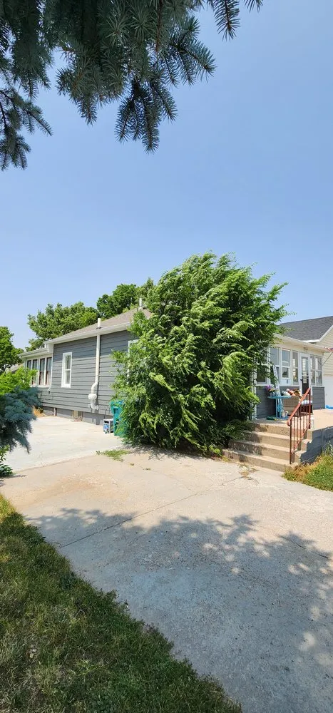 Expert yard maintenance in Chappell, NE - JT's Yard Services