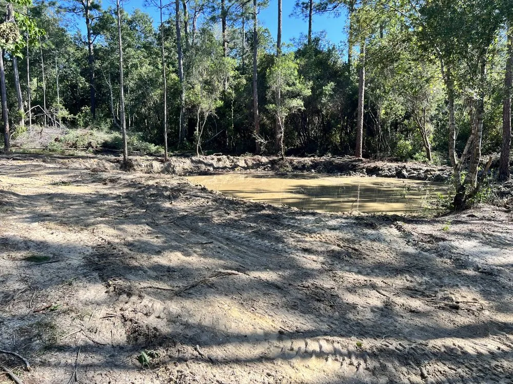 Top-rated residential landscaping for year-round maintenance across Biloxi, MS - JTV Excavations