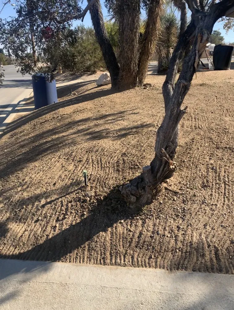 Local yard cleanup service in Yucca Valley, CA - JTX Yard Service
