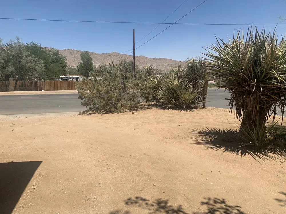 Affordable lawn care service with custom design in Yucca Valley, CA by JTX Yard Service