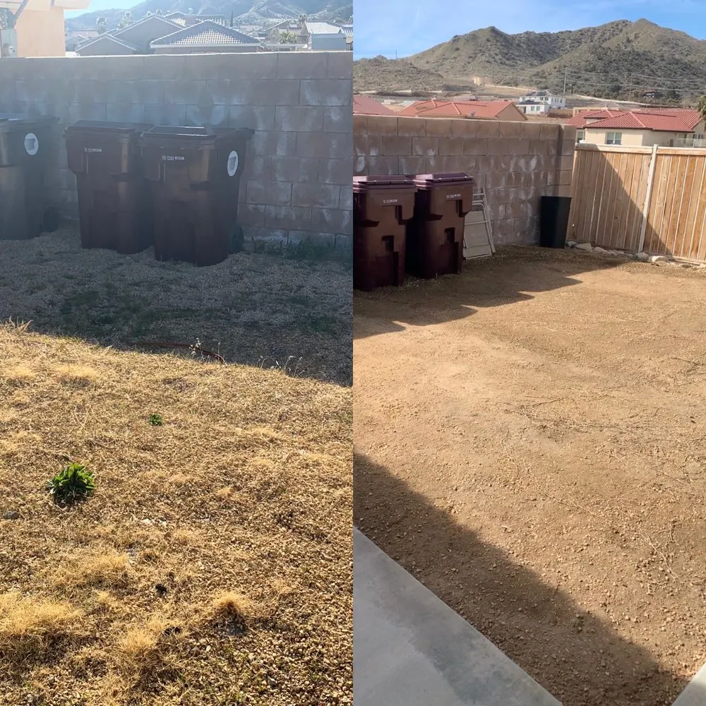 Reliable landscaping services for outdoor upgrades across Yucca Valley, CA - JTX Yard Service